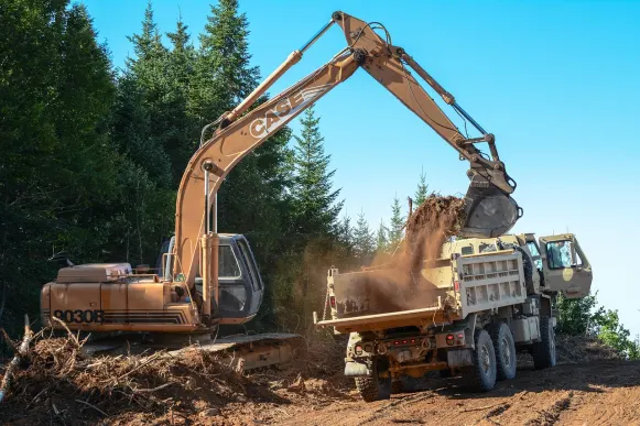 لوبين كازينو الدعم